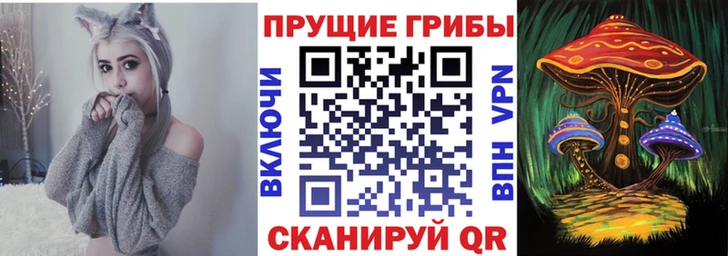 как найти закладки  Мензелинск  Псилоцибиновые грибы Cubensis 